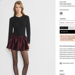 Aritzia CHER SATIN SKORT